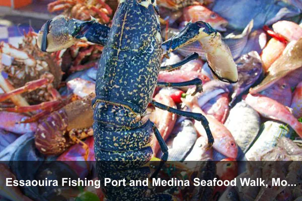 Essaouira Fishing Port and Medina Seafood Walk, Morocco