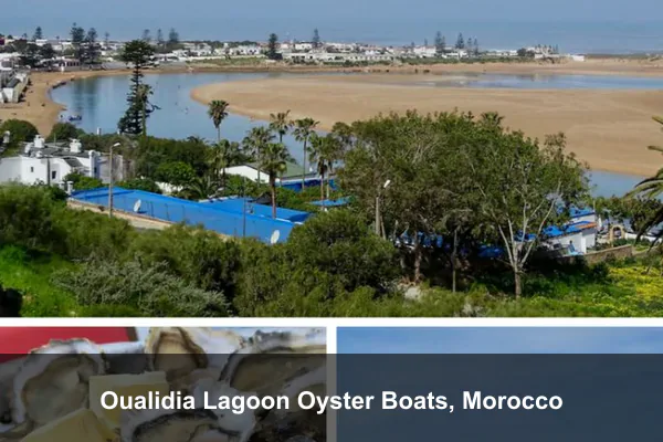 Oualidia Lagoon Oyster Boats, Morocco